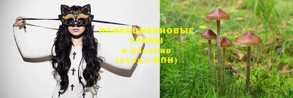 эйфоретик Нефтегорск