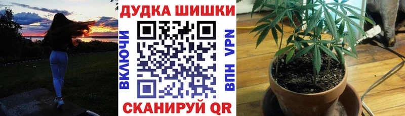 omg ТОР  Кирс  Шишки марихуана ГИДРОПОН 